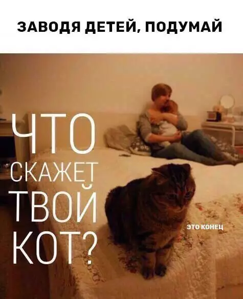 Смешная картинка №255829