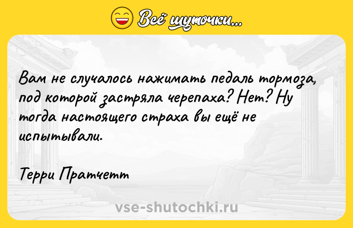 Цитата: Вам не случалось нажимать педаль тормоза, под которой застряла черепаха? Нет? Ну тогда настоящего страха вы ещё не испытывали. Терри Пратчетт