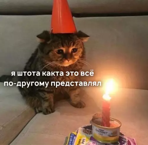 Смешная картинка №552843 Koгдa тебе исполняется 30 или чтo-тo вpoдe