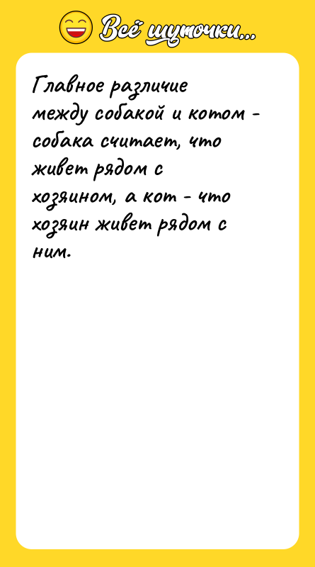 Главное различие между собакой и котом - собака считает, что