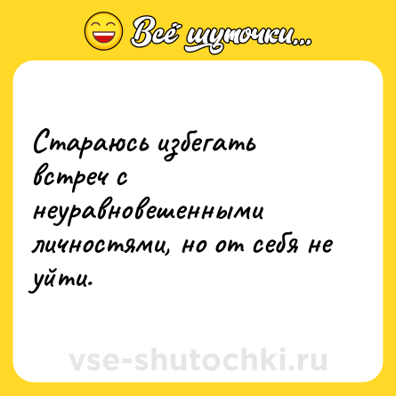Шутка: Стараюсь избегать встреч с неуравновешенными личностями, но от себя не уйти.