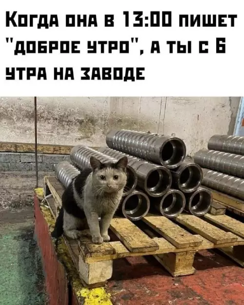 Утро начинается не с кофе, а с завода! 🛠️ - КОГДА ОНА В 13:00 ПИШЕТ ДОБРОЕ УТРО, А ТЫ С