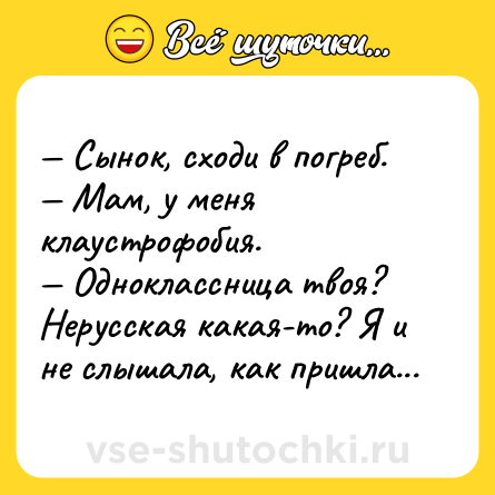 Шутка: — Сынок, сходи в погреб. <br>— Мам, у меня клаустрофобия. <br>— Одноклассница твоя? Нерусская какая-то? Я и не слышала, как пришла...