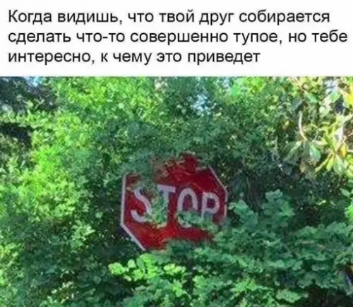 Смешная картинка №715224