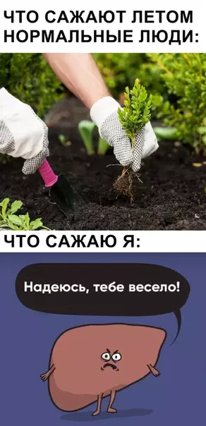 Смешная картинка №363540