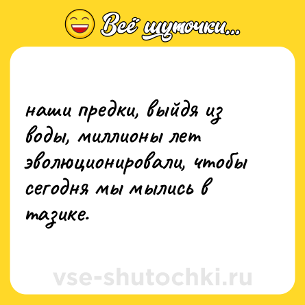 Шутка: наши предки, выйдя из воды, миллионы лет эволюционировали, чтобы сегодня мы мылись в тазике.