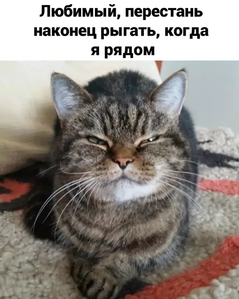 Смешная картинка №553569