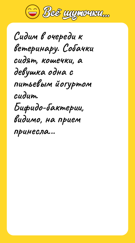 Сидим в очереди к ветеринару. Собачки сидят, кошечки, а девушка