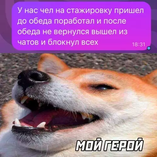 Смешная картинка №680355