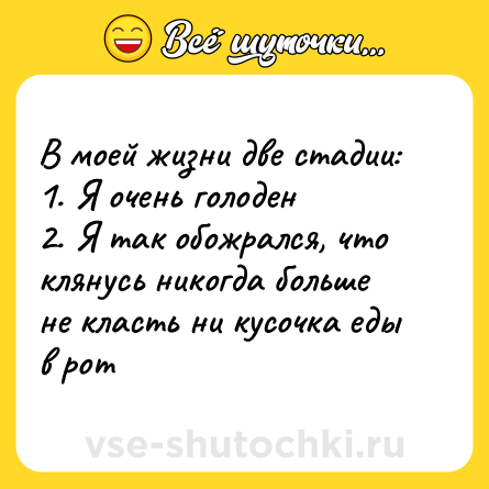 Шутка: В моей жизни две стадии:<br>1. Я очень голоден<br>2. Я так обожрался, что клянусь никогда больше не класть ни кусочка еды в рот