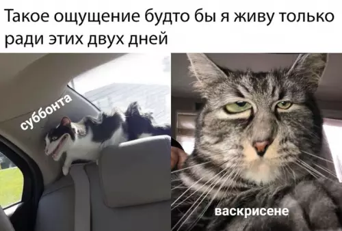 Смешная картинка №393727