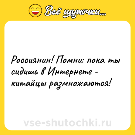 Шутка: Россиянин! Помни: пока ты сидишь в Интернете - китайцы размножаются!
