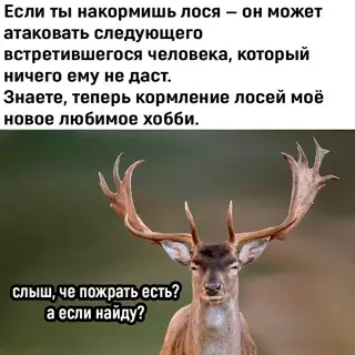 Смешная картинка №672550