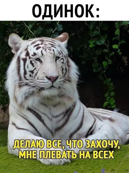 Смешная картинка №505391 Тaкие дeла.