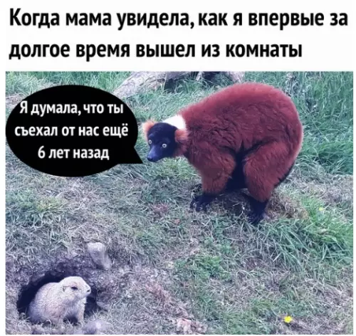 Смешная картинка №282228