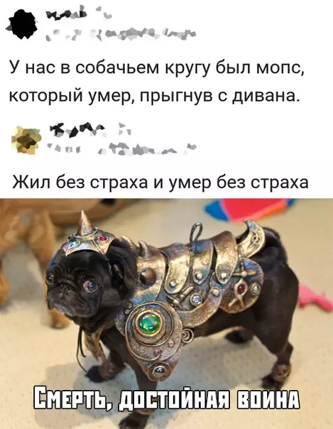 Смешная картинка №380353