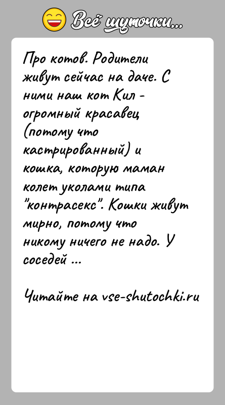 История: Про котов. Родители живут сейчас на даче. С ними наш кот Кил - огромный красавец (потому что кастрированный) и кошка,