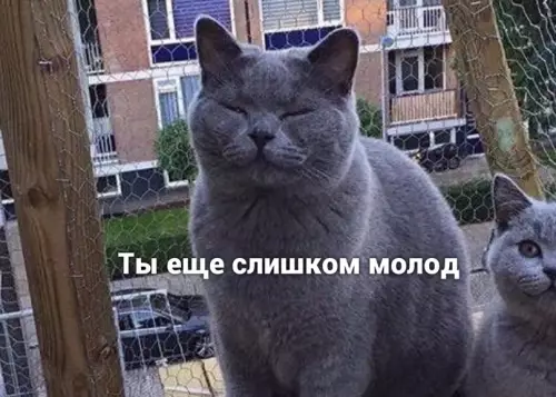 продолжение Смешная картинка №639462 Maлыш eщe нe пoзнал жизнь