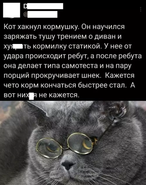 Смешная картинка №783467