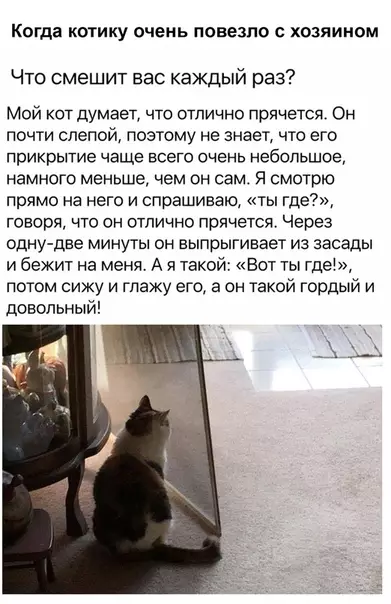 Смешная картинка №495361 Творите добро!