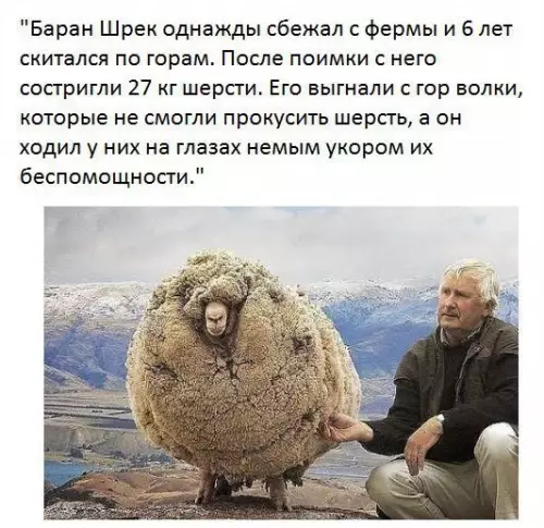 Смешная картинка №213478