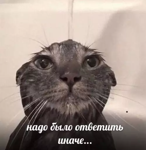 Смешная картинка №666950