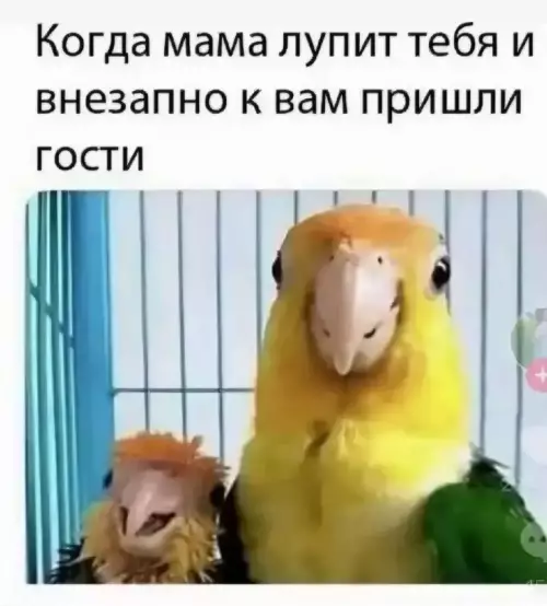 Смешная картинка №753824