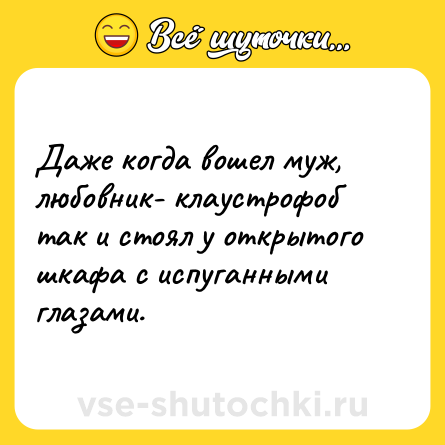 Шутка: Даже когда вошел муж, любовник- клаустрофоб так и стоял у открытого шкафа с испуганными глазами.