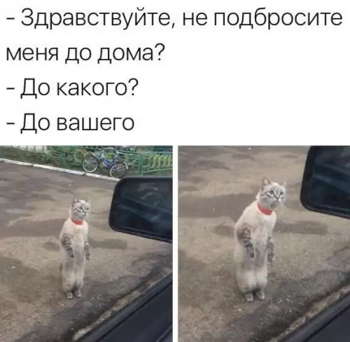 Смешная картинка №373976