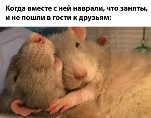 Смешная картинка №716671