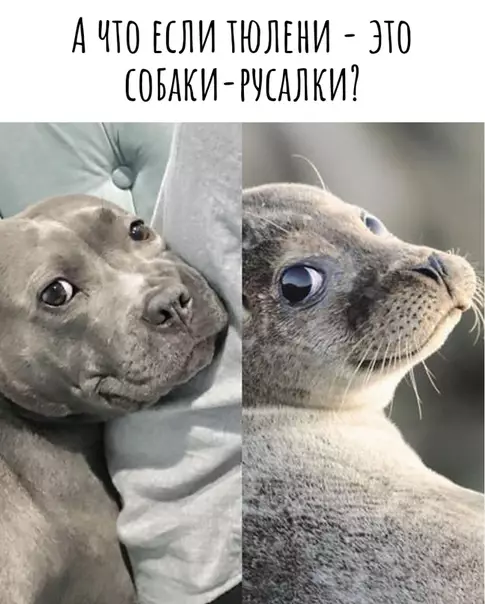 Смешная картинка №495855 И как теперь не думать об этом?