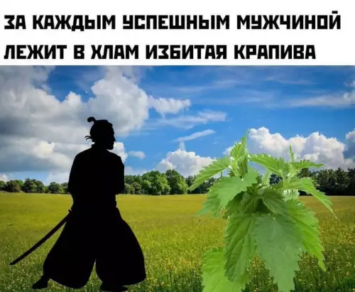 Путь самурая: Крапива не прощает ⚔️🌿 - ЗА КАЖДЫМ УСПЕШНЫМ МУЖЧИНОЙ ЛЕЖИТ В ХЛАМ ИЗБИТАЯ КРАПИВА