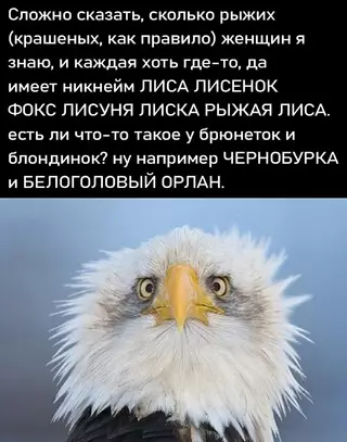 Смешная картинка №715430
