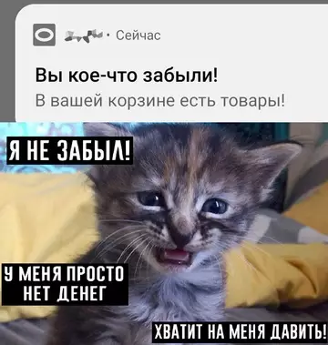 Смешная картинка №765204