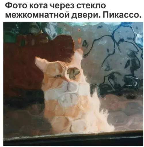 Смешная картинка №245236