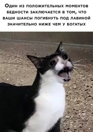 Смешная картинка №676821