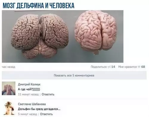 Смешная картинка №212586