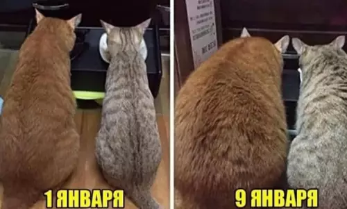 Смешная картинка №548386