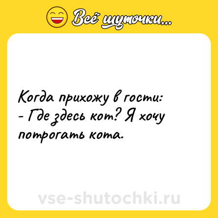 Шутка: Когда прихожу в гости:<br>- Где здесь кот? Я хочу потрогать кота.