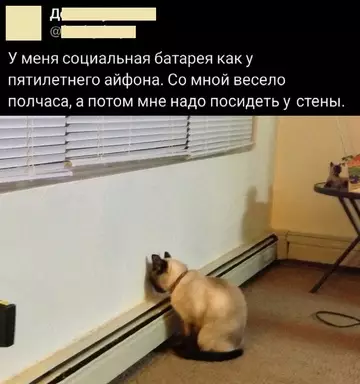 Смешная картинка №761152