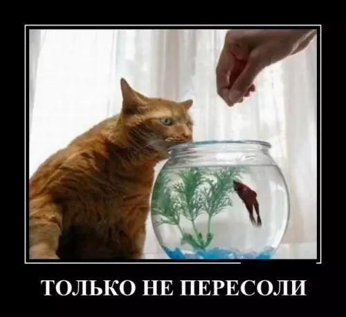 Смешная картинка №180634
