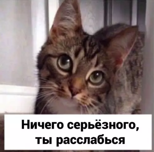 продолжение Смешная картинка №606949 Слишком напрягающий диалог)