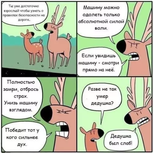 Как выжить на дороге по методу оленей 🦌🔥 - Ты уже достаточно взрослый чтобы узнать о правилах безопасности на
