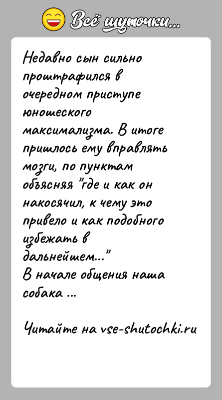 История: Недавно сын сильно проштрафился в очередном приступе юношеского максимализма. В итоге пришлось ему вправлять мозги, по пунктам объясняя где и