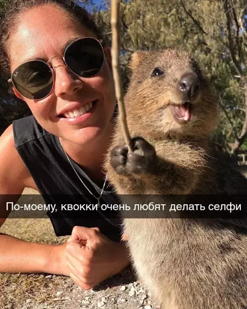 Смешная картинка №543365 Фотoгeничный звepёк.