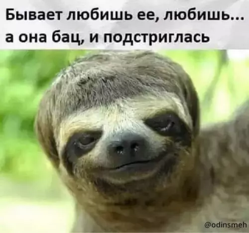 Смешная картинка №656011