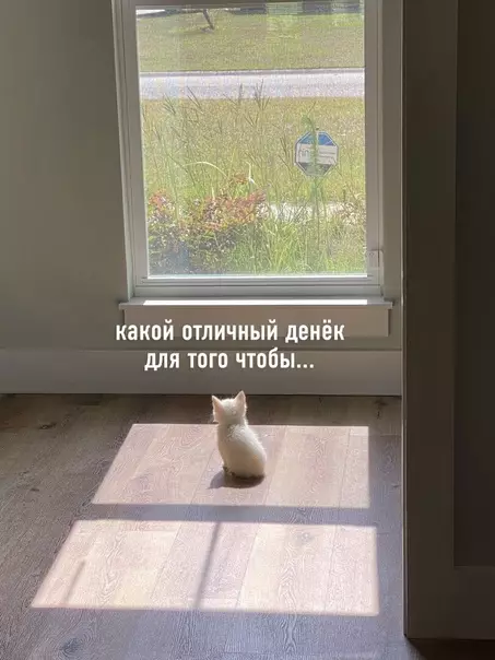 Смешная картинка №578879