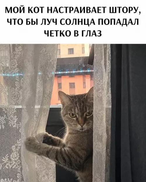 Смешная картинка №815349