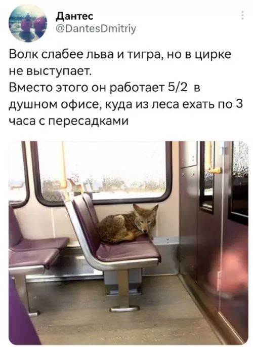 Смешная картинка №679512