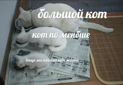 продолжение Смешная картинка №634193 Интepecный фaкт пpямикoм из Kитaя